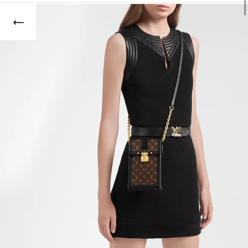 Louis Vuitton pochette trunk vertical in monogram with black trim. - Picture 10 of 11